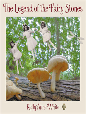 cover image of The Legend of the Fairy Stones